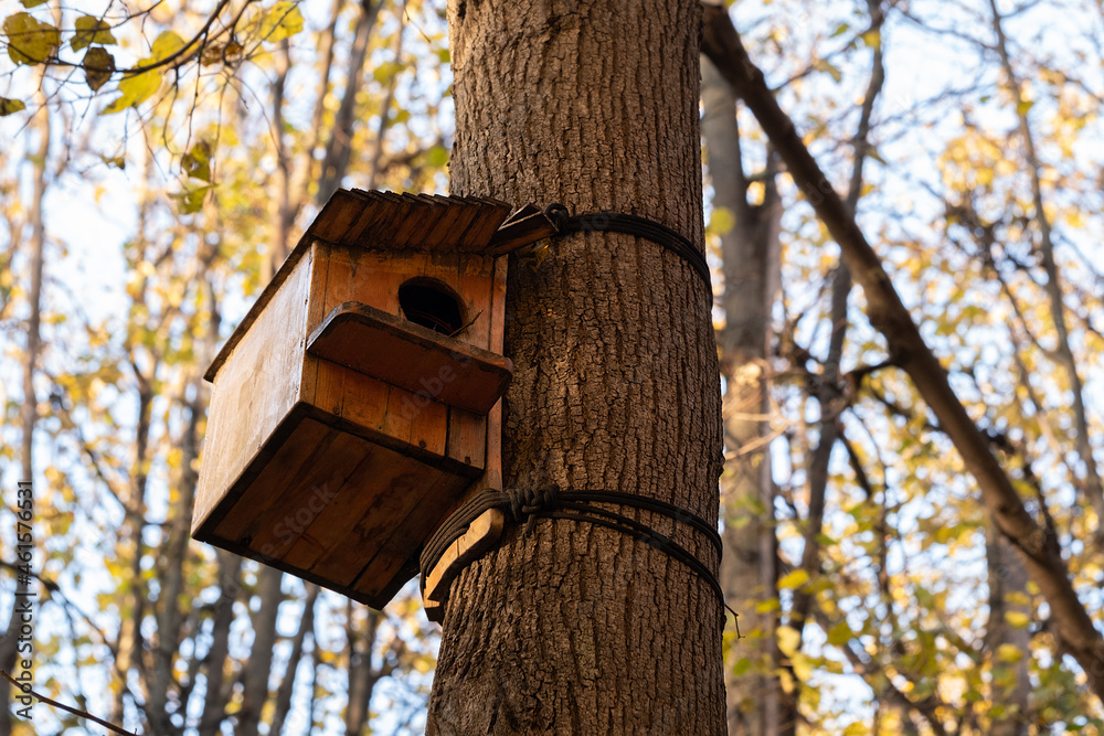 Wooden bird feeder on tree in autumn Park or garden