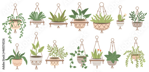 Set of plants in hanging pots. Houseplant hang on rope, decorative indoor plants, macrame flower pots, home potted plants vector illustration icons set. Flower in pots on stands. Home jungle © Pictulandra