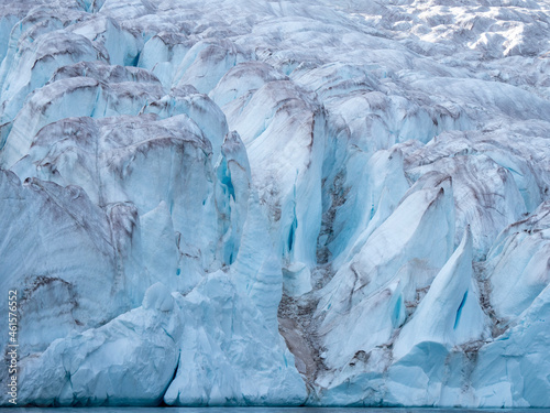 Canadian Arctic glacier ice, ocean sea ice and animals (polar bears) in cold arctic regions, glacier ice wall
