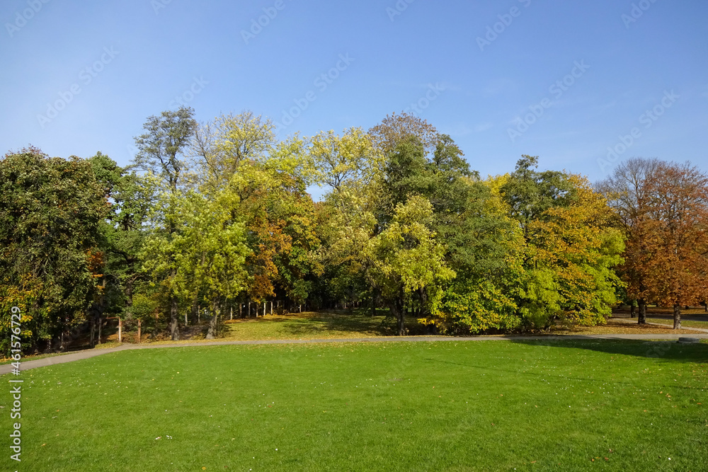 Autumn Landscape in city park Kadriorg in autumn season. Many spruce trees and trees with golden yellow folliage on the back. Green lawn in the front. Tallinn, Estonia, Europe. October 2021 Autumn Landscape in city park Kadriorg in autumn season. Many spruce trees and trees with golden yellow folliage on the back. Green lawn in the front. Tallinn, Estonia, Europe. October 2021