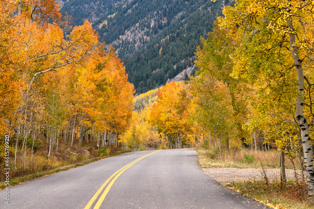 Autumn leaf colors