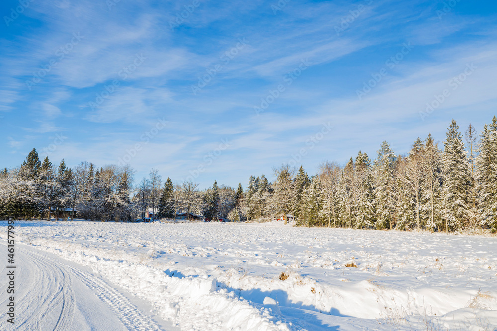 Beautiful winter nature landscape view. Snowy road on frosty forest trees and blue sky background. Sweden. Beautiful winter nature landscape view. Snowy road on frosty forest trees and blue sky background. Sweden.