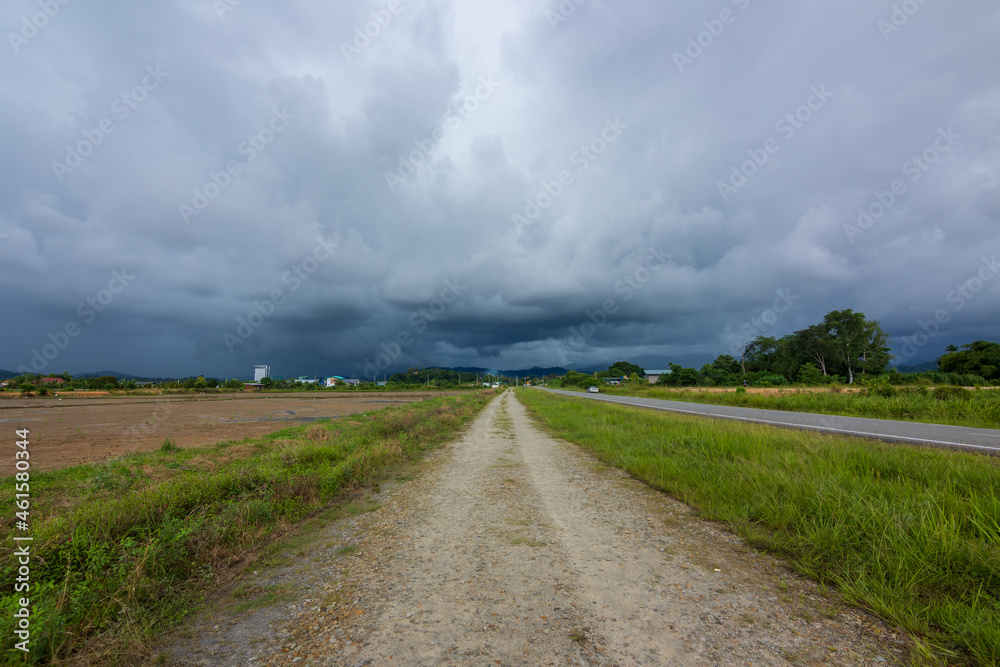 dramatic storm cloud coming before heavy rain on Paddy field