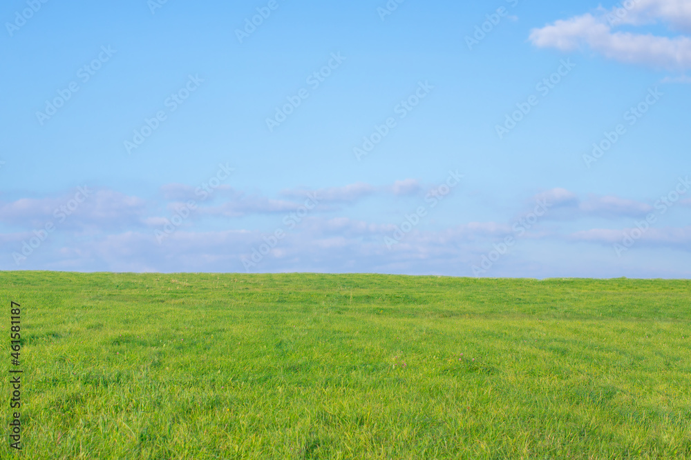 An empty green field against a blue sky with a slight cloud cover.