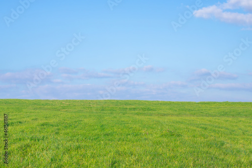 An empty green field against a blue sky with a slight cloud cover.