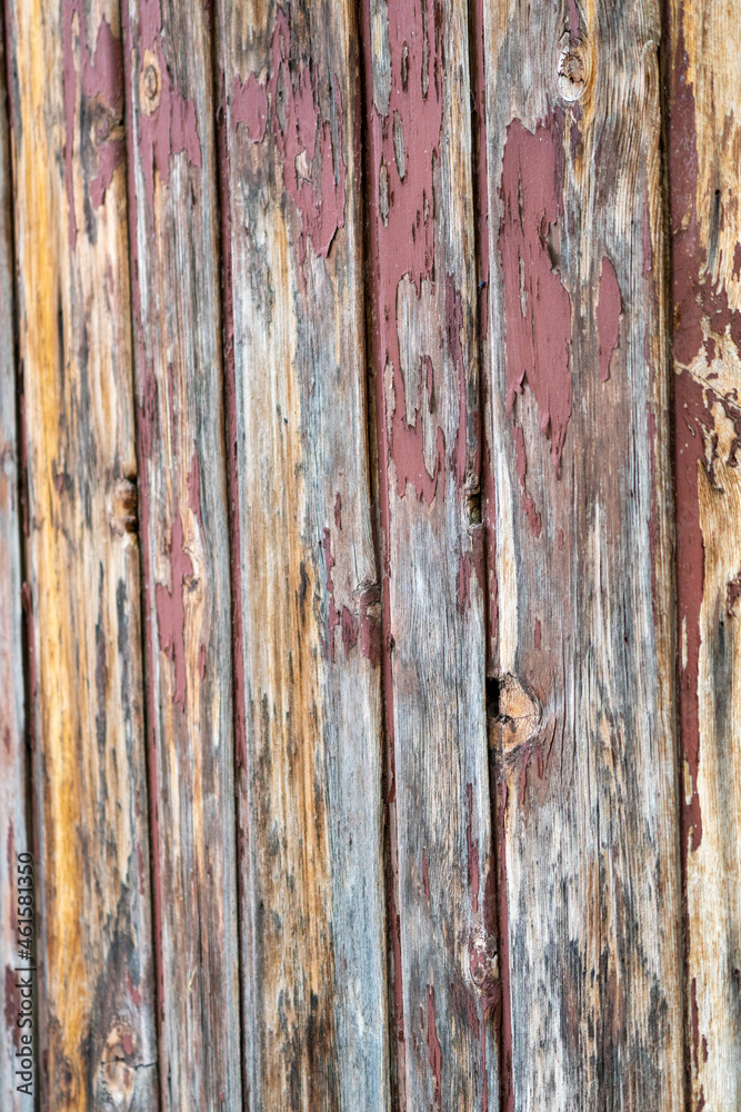 Obraz premium rustic wood