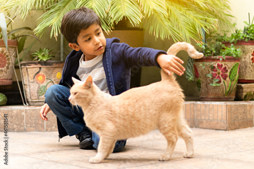 A boy petting a cat in the afternoon