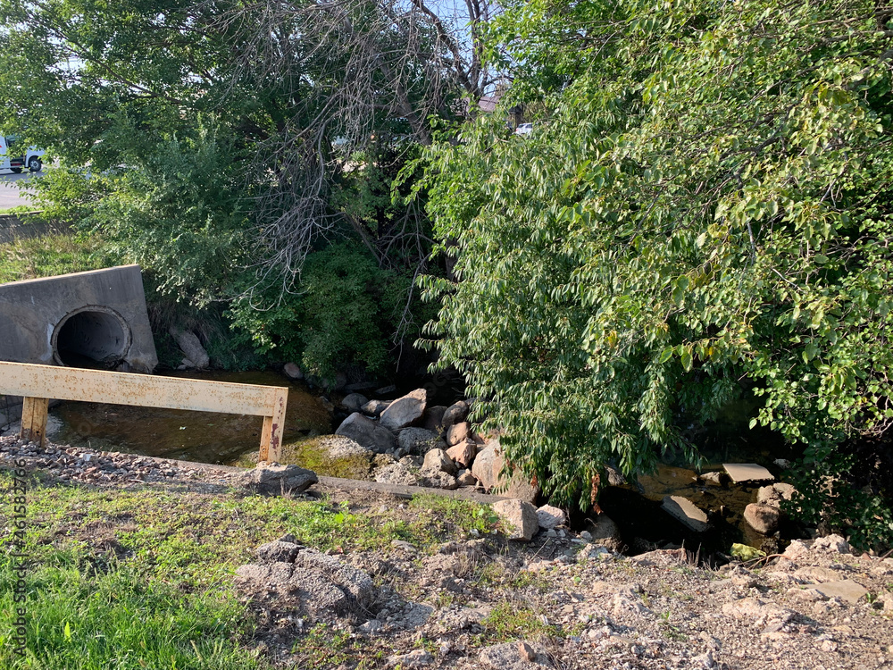 Obraz premium Into Darkness