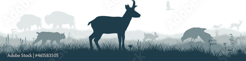 Seamless panorama of the prarie with pronghorn, kite, bobcat, rabbit, deer and brown zubr buffalo bison
