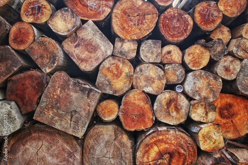 pile of wood