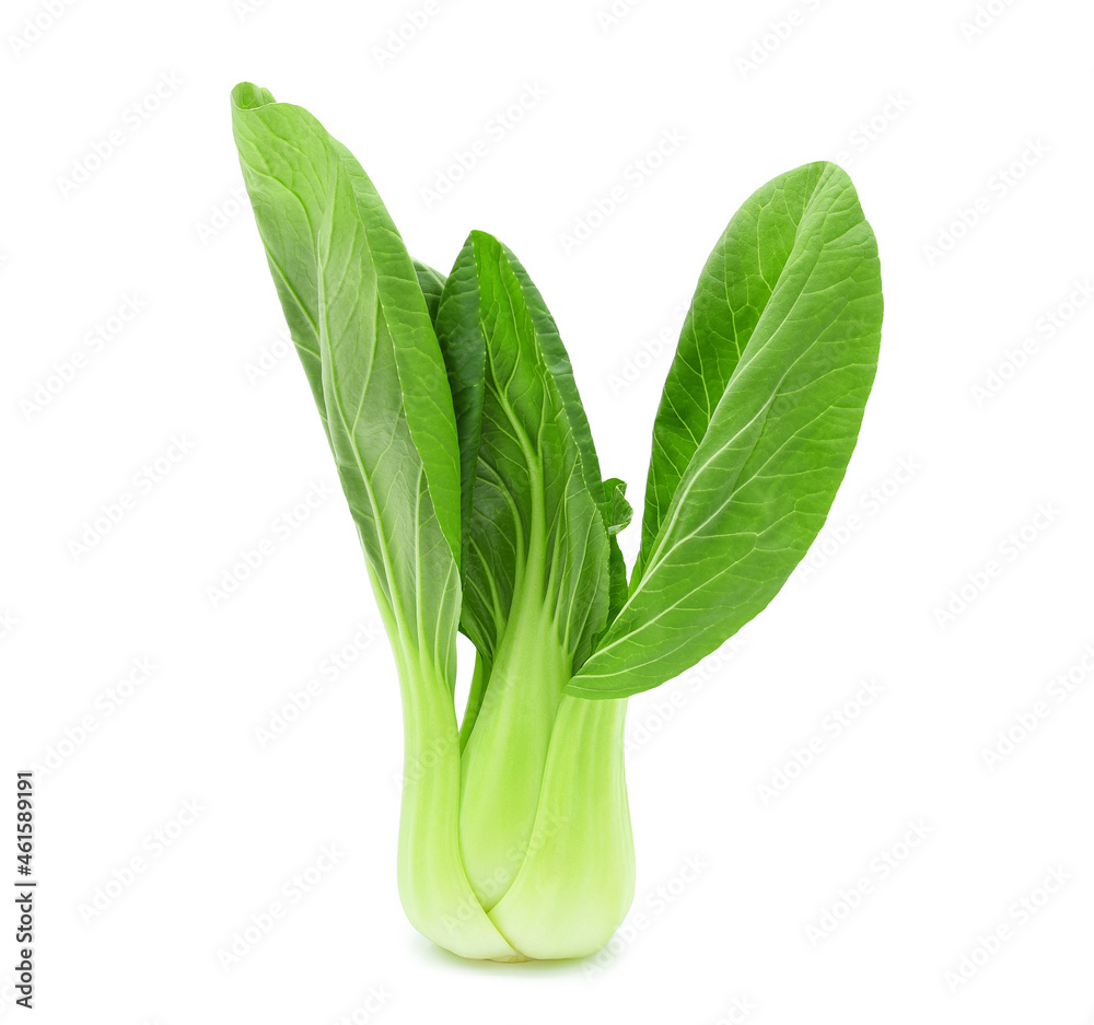 Bok choy (chinese cabbage) isolated on white background. Bok choy (chinese cabbage) isolated on white background.