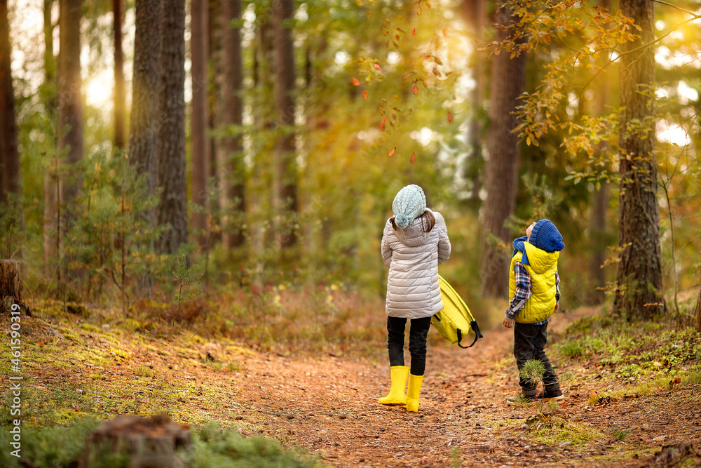 children in the autumn forest children in the autumn forest