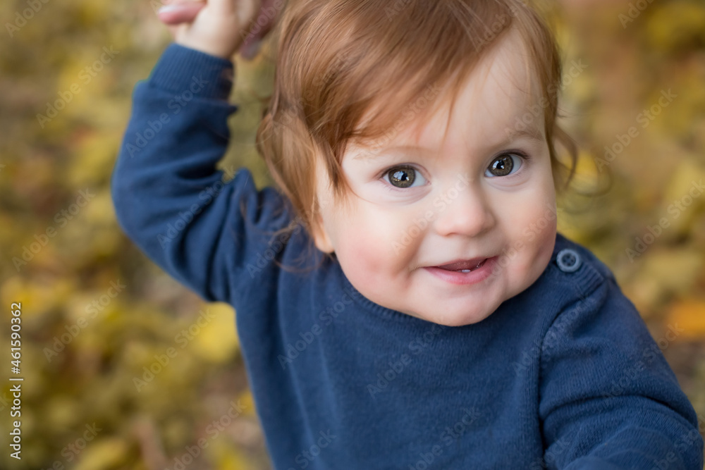 Autumn Walk. portrait of a little red-haired boy Autumn Walk. portrait of a little red-haired boy