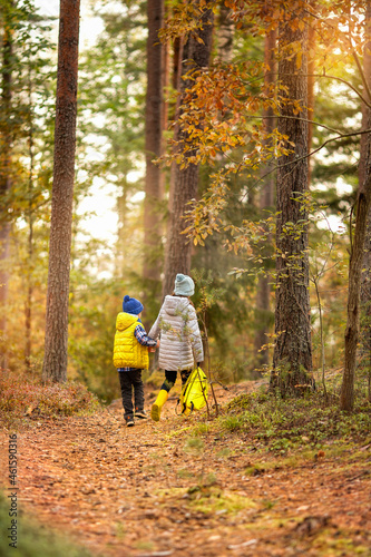 children walk along the road in the autumn forest