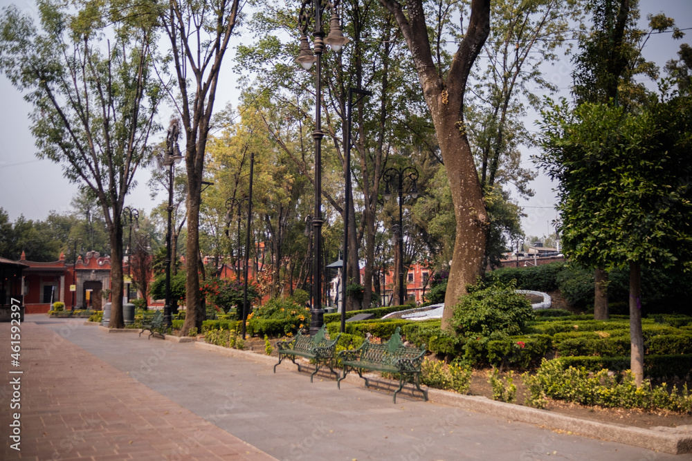 Trees in a park from Mexico City with classic buildings in the distance
