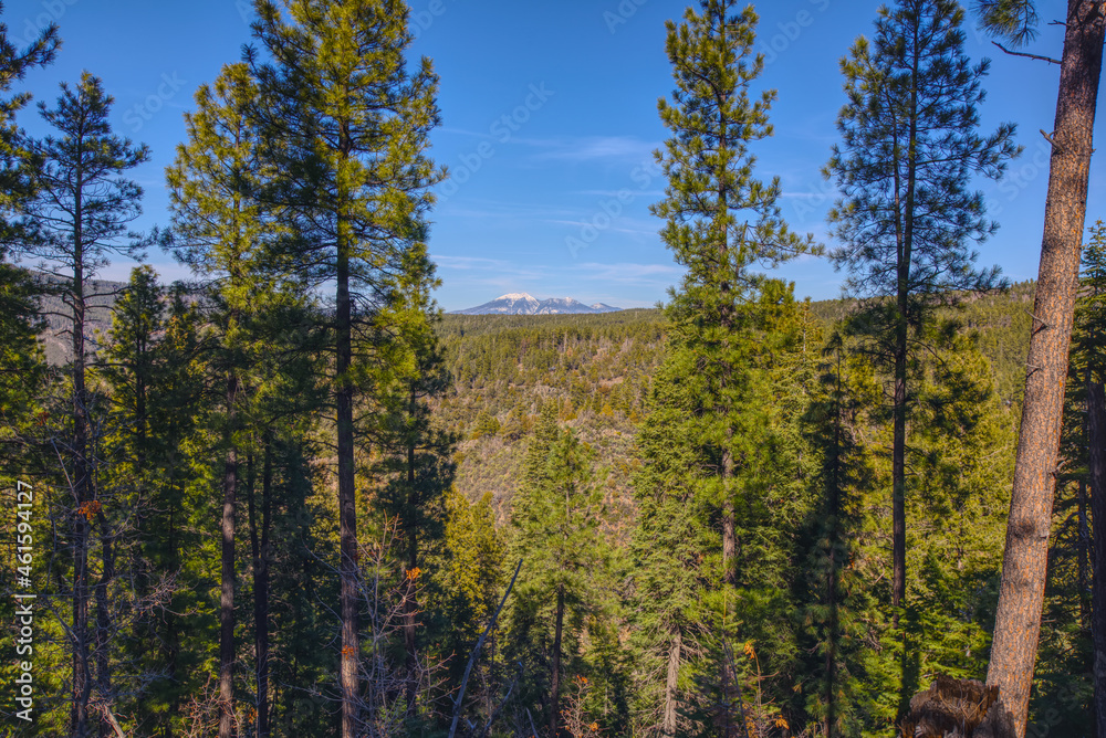 View of San Francisco Peaks from Telephone Trail Sedona AZ View of San Francisco Peaks from Telephone Trail Sedona AZ