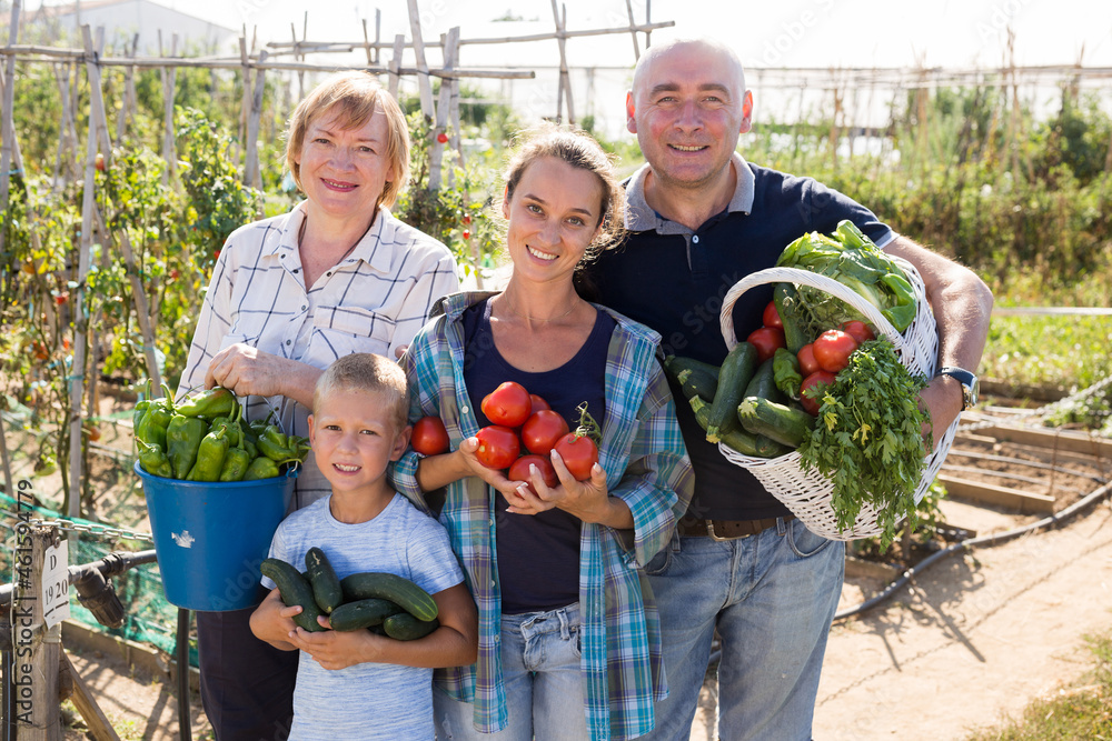 Obraz premium Portrait of happy family of four posing in garden with basket full of fresh vegetables