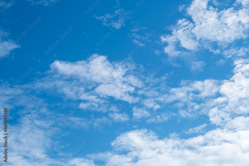 Fototapeta premium 風景素材 爽やかな秋空と白い雲