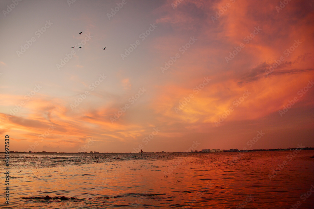 Birds flying above the sea sunset colors Birds flying above the sea sunset colors