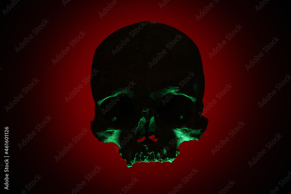 Silhouette of human skull on dark color background Silhouette of human skull on dark color background