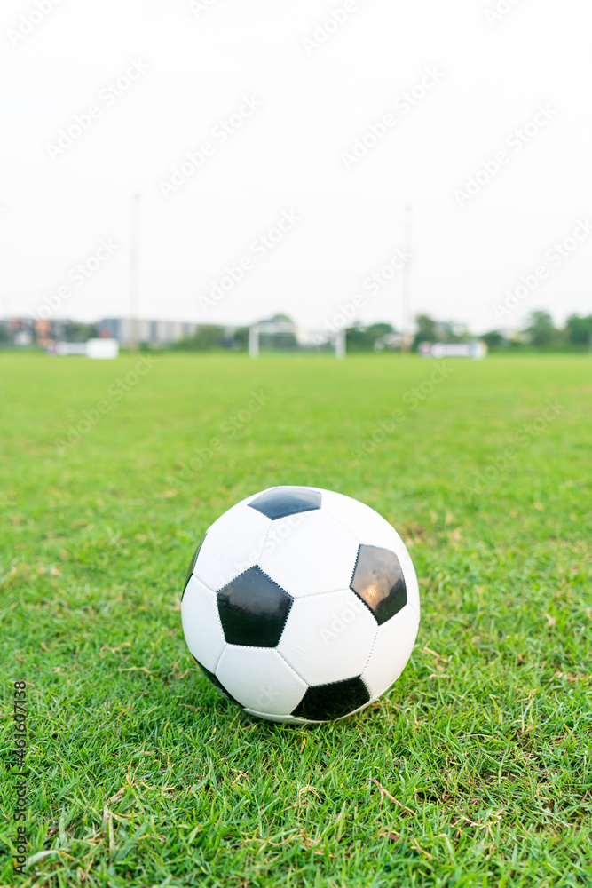 Soccer ball on the ball field