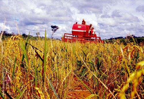 Colheita de arroz com máquina em Sinop no Mato Grosso. AgpMT_KPL3.03.1987 photo