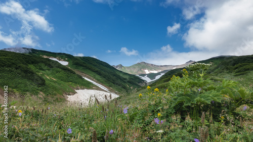 Fototapeta Naklejka Na Ścianę i Meble -  Lush grass and colorful wildflowers grow on the hills. Patches of melted snow are visible on the mountain slopes. Clouds in the blue sky. A sunny summer day. Kamchatka
