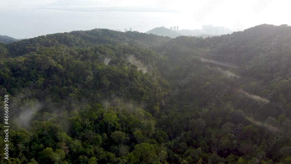 Aerial view Penang Hill rainforest. Background is Tanjung Tokong. Aerial view Penang Hill rainforest. Background is Tanjung Tokong.