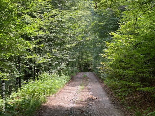 Hiking and recreational trails along Omladinsko Lake or bicycle paths around Lokvarsko Lake, Lokve - Croatia (Pješačko-biciklističke staze oko Omladinskog ili Lokvarskog jezera, Lokve - Gorski kotar) photo