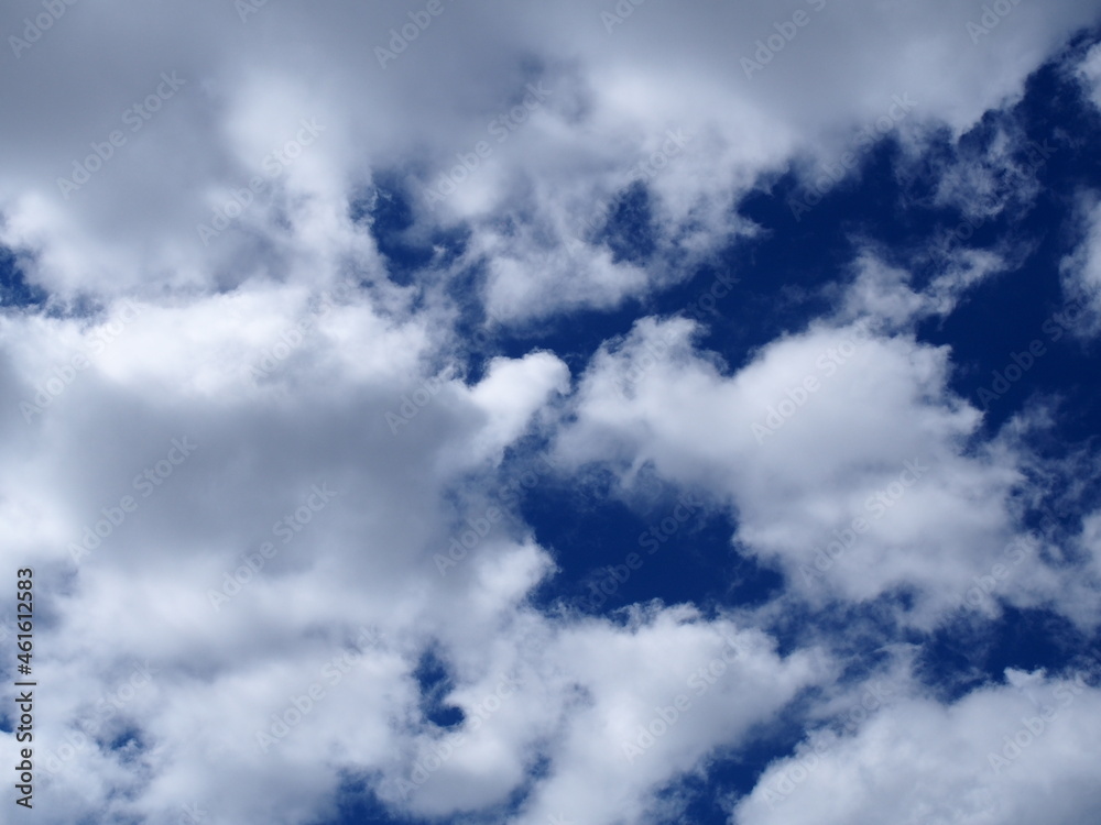 Obraz premium OLYMPUS DIGITAL CAMERA