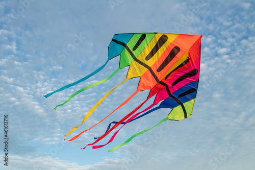 kite flying in the sky