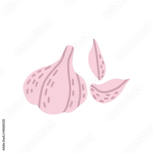 Garlic bulb and cloves in simple doodle style. Vitamin vegetable and its pieces. Natural food, organic seasoning. Flat vector illustration isolated on white background