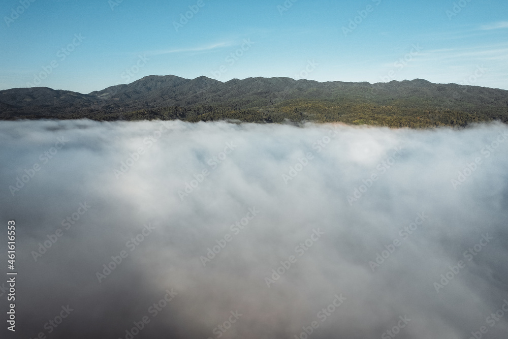 Morning fog in the forest from above