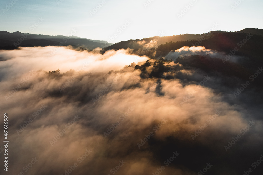 Morning fog in the forest from above Morning fog in the forest from above