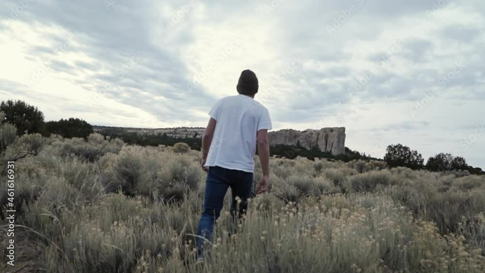 Young man walking through desert scrub bushes towards rock formation Young man walking through desert scrub bushes towards rock formation