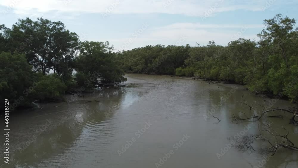 Fly over dark river near mangrove forest Fly over dark river near mangrove forest