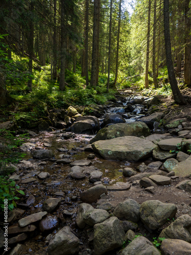 Small river flowing rapidly and vividly through its wild stony valley. Wild hardwood forest accompanies the river along its path. Little stream among the woods. Carpathians  Ukraine