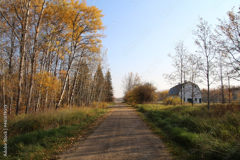 Road To The Barn, Elk Island National Park, Alberta Road To The Barn, Elk Island National Park, Alberta