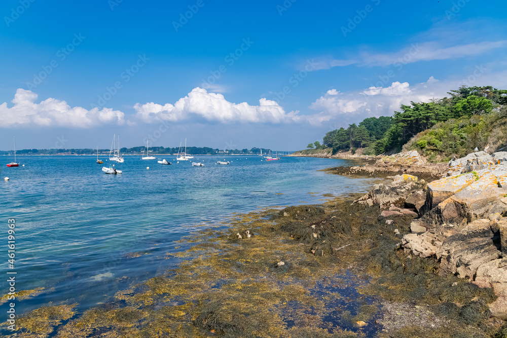 Brittany, Ile aux Moines island in the Morbihan gulf, beautiful coast in summer