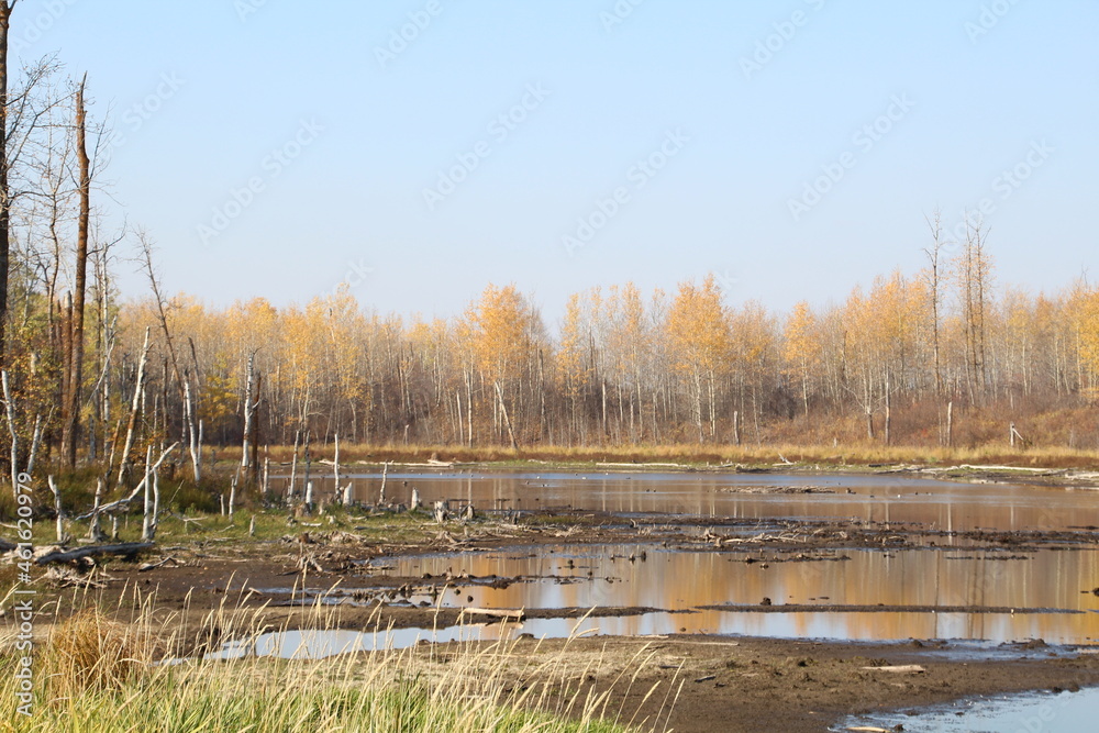 Autumn On The Wetlands, Elk island National Park, Alberta Autumn On The Wetlands, Elk island National Park, Alberta