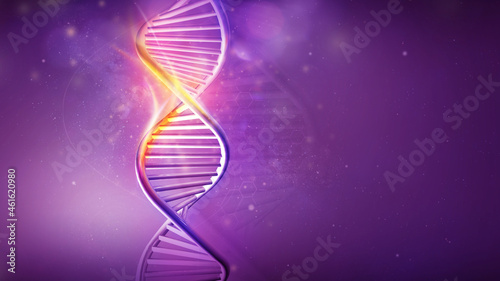 DNA helix model on a violet background, 3D render. © conceptcafe