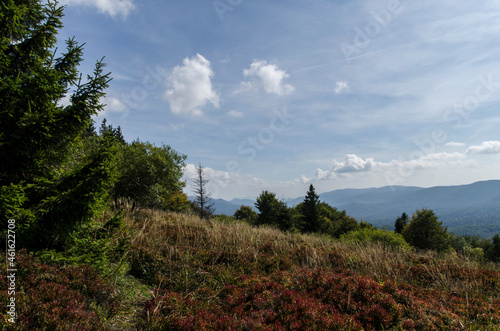 Bieszczady 