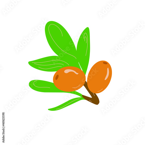 vector sea buckthorn berries in flat graphics and cartoon style on a white background, a beautiful and bright illustration of sea buckthorn berries