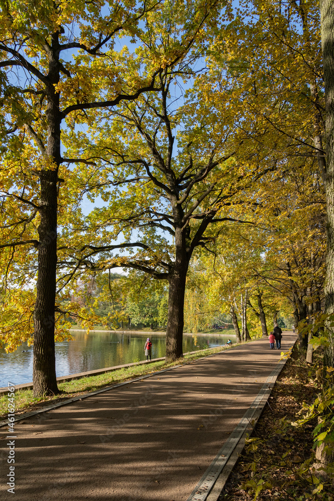 Naklejka premium Alley in the city park in sunny autumn weather.