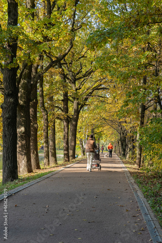 Fototapeta Naklejka Na Ścianę i Meble -  Alley in the city park in sunny autumn weather.