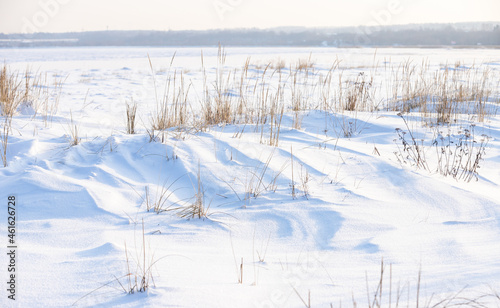 Winter landscape with dry grass in white snow on a sunny day