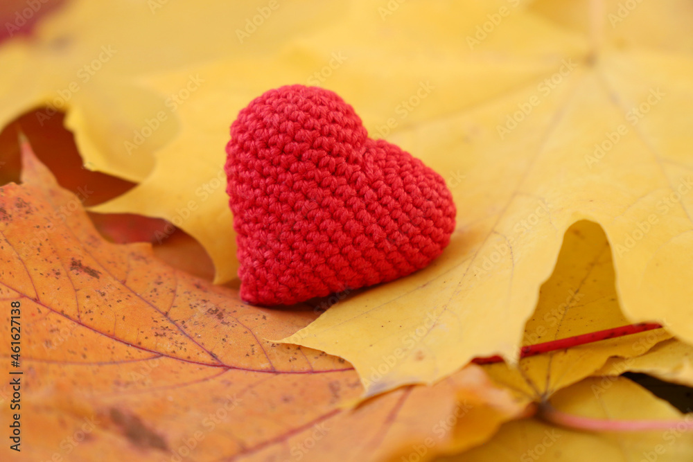 Red knitted heart on yellow maple leaves in autumn park. Concept of romantic love, fall season - obrazy, fototapety, plakaty 