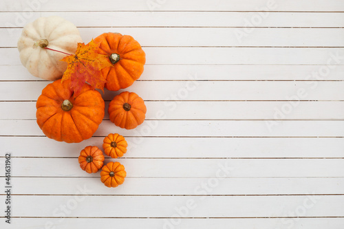 Fresh ripe pumpkins on white wooden background. Flat lay. Top view