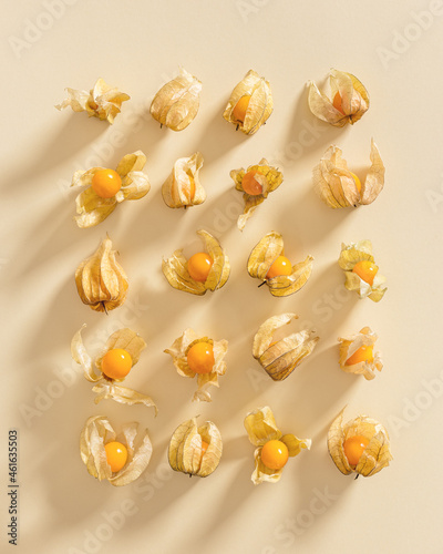 Collection of physalis berries or golden berry on beige Physalis fruit food ingredient. Flat lay, pattern