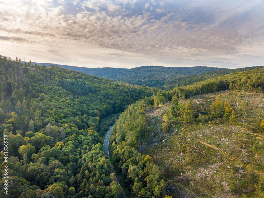 Obraz premium Luftaufnahme mit Drohne vom Waldsterben im Taunus durch den Borkenkäfer und Klimawandel in der Nähe von Oberusel, Deutschland Hessen